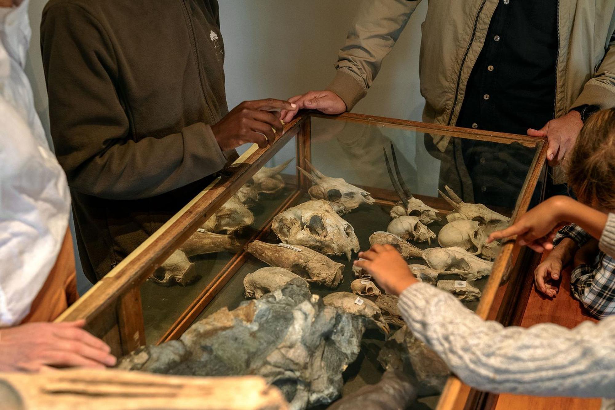 Samara Karoo Reserve Graaff Reinet Luaran gambar